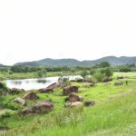 ⛳️ ผ่านรอบสาม โปรโม โมริยา ดีสุด🇹🇭